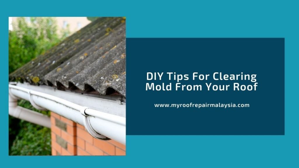 DIY Tips For Clearing Mold From Your Roof